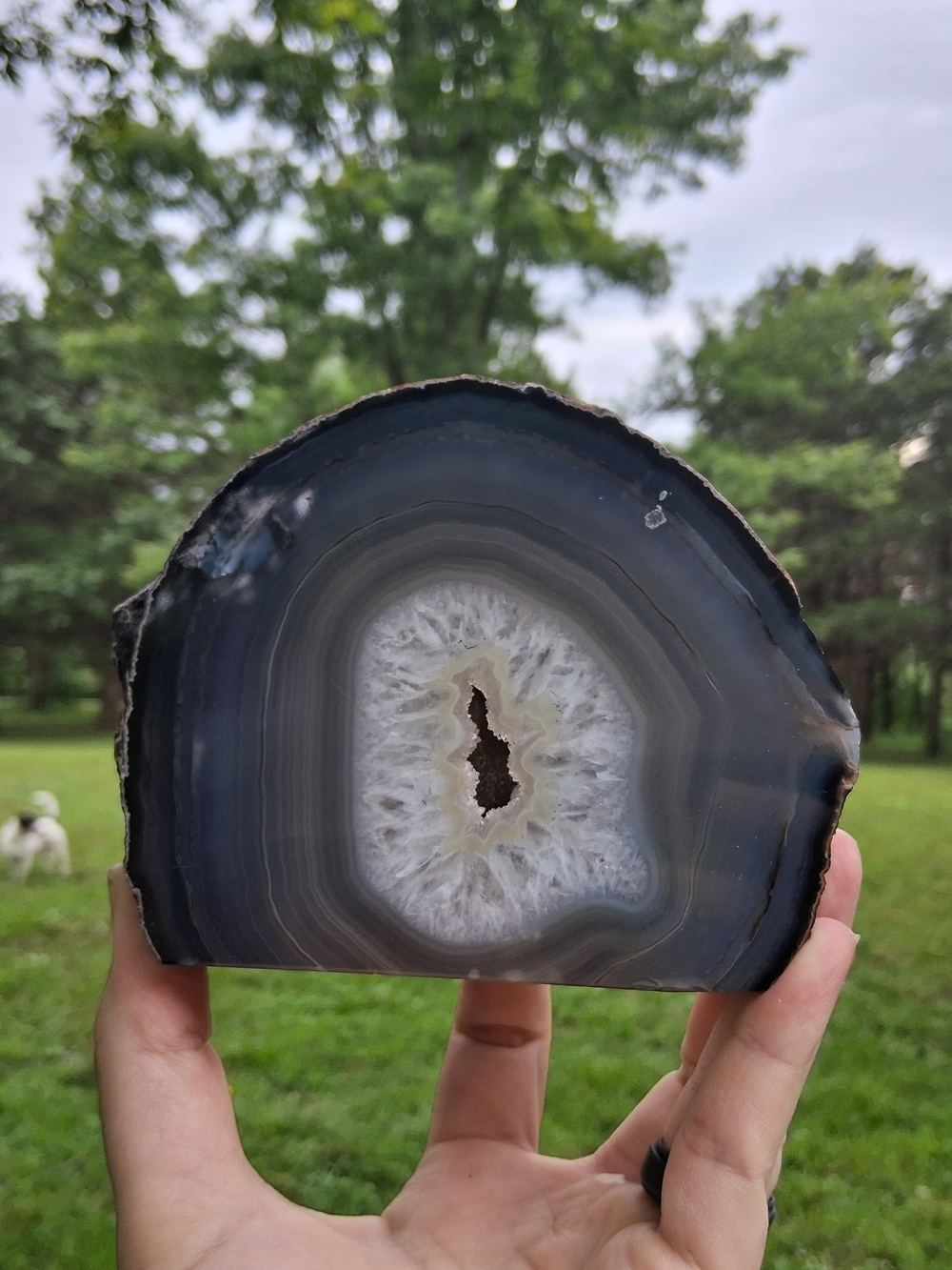 Brazilian Black Banned Agate Druzy Crystal Cluster Arch Slice Slab Geode Display
